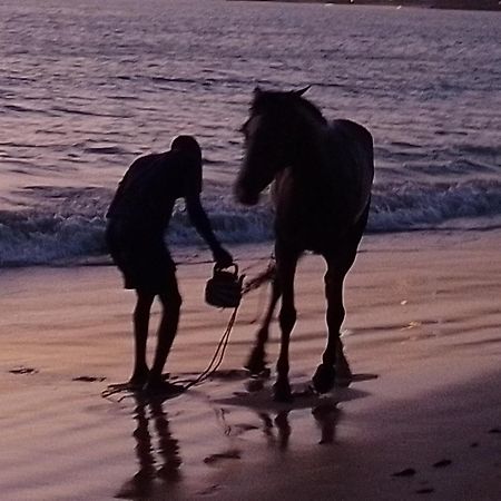 Paradisplage, 1 Minute De La Mer Saly Portudal Εξωτερικό φωτογραφία