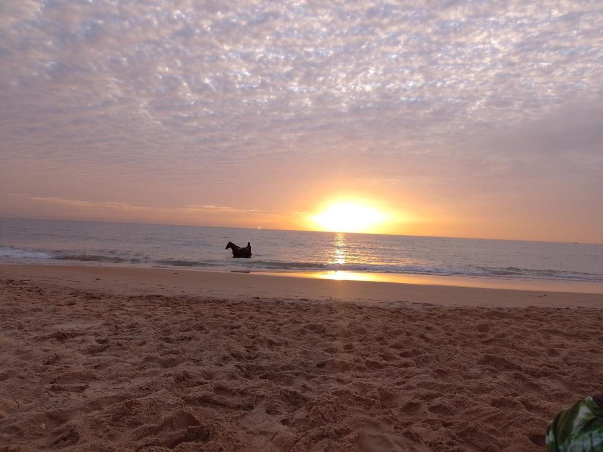 Paradisplage, 1 Minute De La Mer Saly Portudal Εξωτερικό φωτογραφία