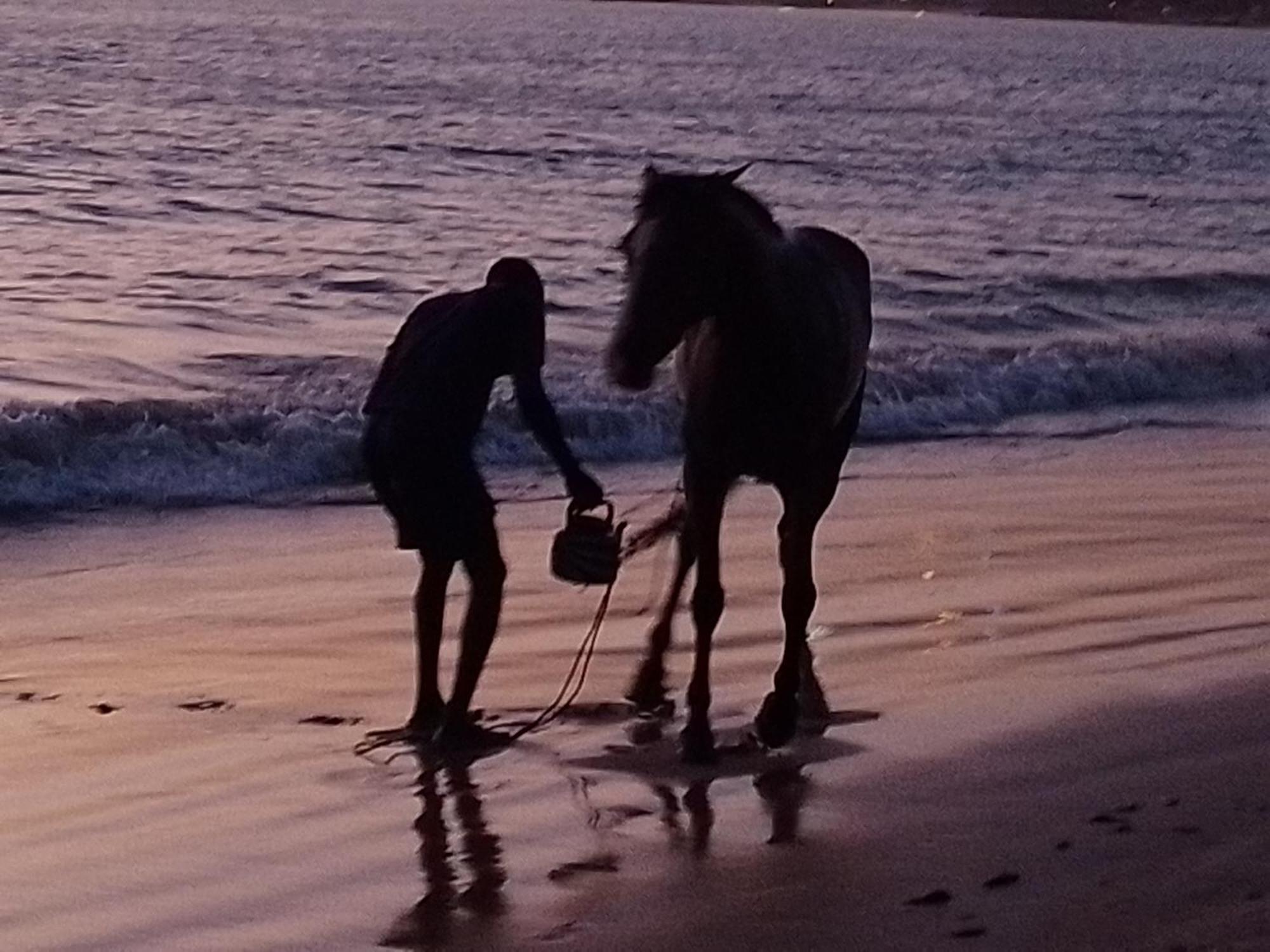 Paradisplage, 1 Minute De La Mer Saly Portudal Εξωτερικό φωτογραφία